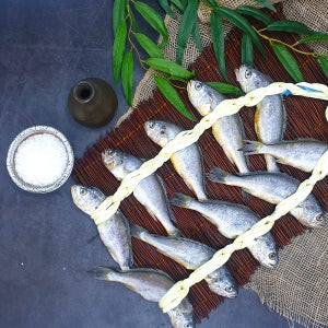 영광 굴비 법성포 명절 10마리 프리미엄 선물세트