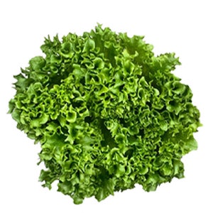 야채이야기 프릴아이스 2㎏ 농장직송 유러피안 샐러드 채소