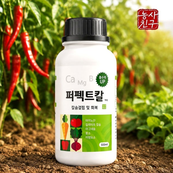 퍼펙트칼 고추 배추 킬레이트 칼슘제 붕소 칼붕 마그네슘 칼슘 부족 다육