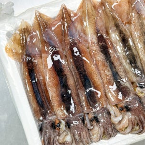 농가살리기 국내산 주문진 산오징어 1kg