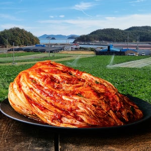 전라도 해남 배추김치 아르뫼 포기김치 5kg, 1개