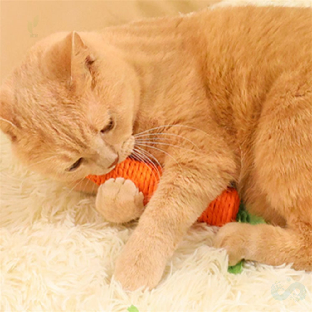 여름다미 강아지놀이터도구 강아지용 당근형 놀이장난감