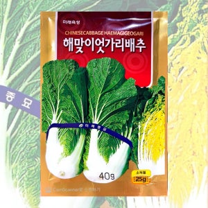 엇가리배추씨앗 40g 26년포장 해맞이얼갈이배추종자