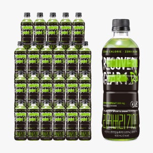 리커버리 기어 샤인머스캣라임맛 (500mL x 24PET)