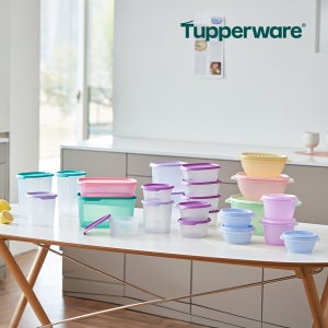 타파웨어 NEW 원터치 세트 24개