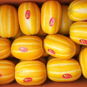 2026년 성주 참외 10kg 34000