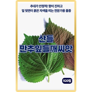 산들 만추잎 들깨씨앗 920립 향이 진한 깻잎 소량 들깨씨 종자
