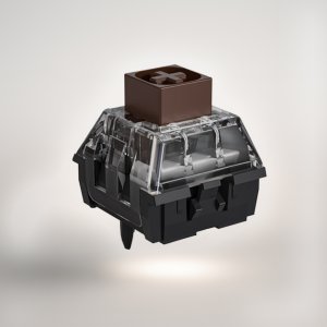 카일 박스 갈축 Kailh Box brown V2 택타일 스위치
