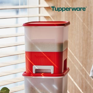 타파웨어 스마트 주니어 키퍼 쌀보관함 밀폐 원터치 쌀통 5KG