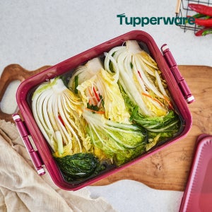 타파웨어 시그니처 김치 키퍼 10L(H)