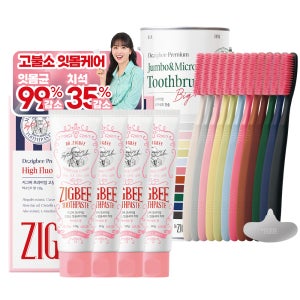 [잇몸+칫솔세트] 지그비 고불소 잇몸케어 치약 허니민트향 117g 4개입 + 빅헤드 초미세모 칫솔 12개입
