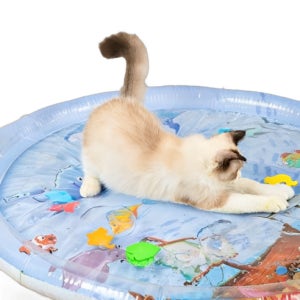 고양이 쿨 방석 튜브 65cm 여름용