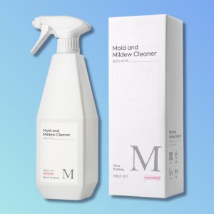 생활과생각 곰팡이제거제 화장실 욕실 벽지 실리콘 청소 곰팡이세정제 750ml