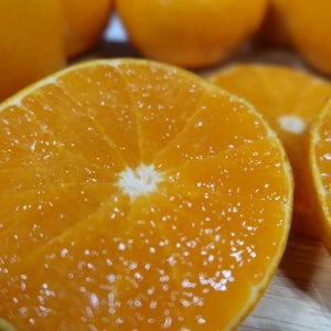 서귀포 복동이네 -푸릇푸릇제주 아스미 카라향 산지직송 감귤택배 제철과일