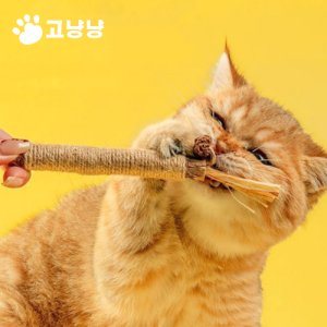 9개입) 우리아이가 미쳐요 고양이먹이퍼즐 대용