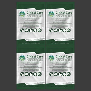 옥스보우 소동물사료 크리티컬 케어, 36g, 4개