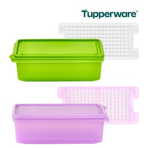 타파웨어 모듈러냉장기 2.2L(연두/연보라)