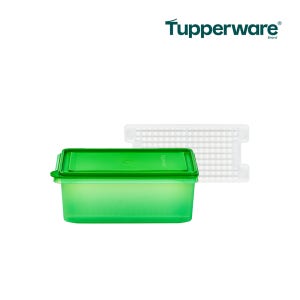 타파웨어 모듈러냉장기 2.7L 대파 야채 보관용기