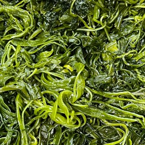 전라도 완도 청정지역 채다시마 부드러운 간단한반찬 햇 고급 산모 1kg 5kg 10kg