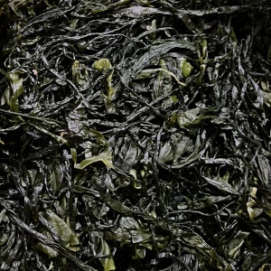 전라도 완도 청정지역 염장미역 부드러운 간단한반찬 햇 고급 산모 1kg 5kg 10kg