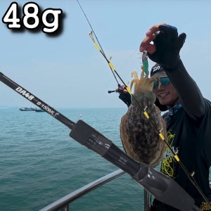 [뼈삼몰] (29차 입고) NH코리아 다크에어48 쭈꾸미로드 갑오징어로드 48g 초경량