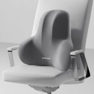 메모리폼 등쿠션 바른자세 차량 사무실 쇼파 허리받이