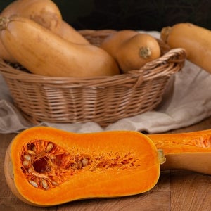 제주 땅콩호박 버터넛스쿼시 5kg,8kg,3kg