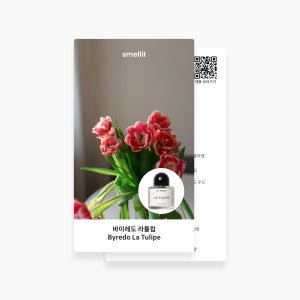 바이레도 라튤립 향수 오드 퍼퓸 향 시향지