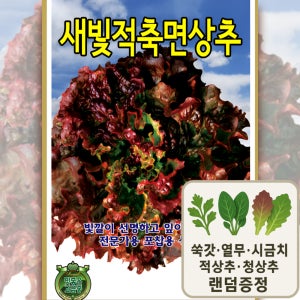 새빛적축면상추 씨앗 진한 적색 포장용 적축면 상추 종자 3000립 ks