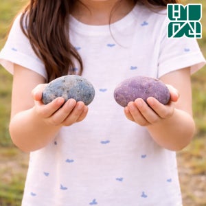 반려돌키우기 반려돌멩이 꾸미기 애완돌 에그스톤