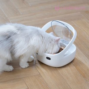 체리메이트 슈어피드 RFID 강아지 고양이 반려동물 개별인식 다묘가정 필수품