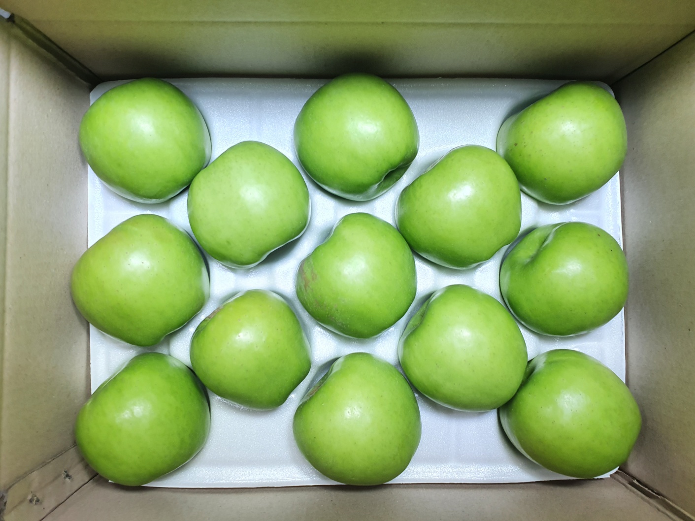 경북 아오리 청사과 햇사과 못난이 가정용 세척 개별포장 선물용 1kg 2kg 3kg 5kg