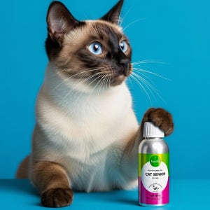 뉴트롤린 고양이 피부 치매 비듬 탈모 영양제 오메가3 캣 시니어 150ml