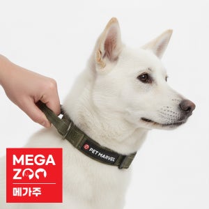 펫마블 버클 목줄 강아지 산책 목줄 반려견 저자극 야간반사 대형견 중형견 손잡이 목줄