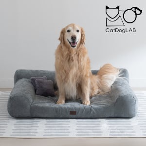 [캣독랩] 강아지방석 고양이방석 펫소파 / 국산 메모리폼 / 프리미엄 쿠션 침대