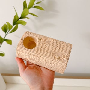 젤리홀더 세이프 곤충 먹이 그릇 은신처 집 놀이목 사슴벌레 장수풍뎅이 키우기 곤충용품 소라게 달팽이