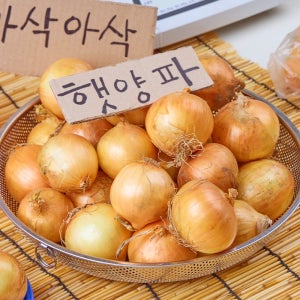 올해 첫 수확 아삭하고 달큰한 국내산 햇양파 5kg 외