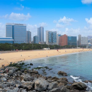 부산 1박2일 용궁사 블루라인 해변열차 해운대 자갈치시장 산만디 흰여울 문화마을 송도해수욕장 KTX 기차여행