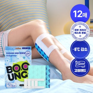 부엉이 다리 쿨링시트 종아리 발바닥 쿨패치 붓기케어 발패치 12매입