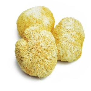 노루궁뎅이버섯 / 국내산 (500g)