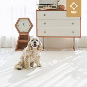이리로 반려동물 실리폼매트 논슬립 방수 방오