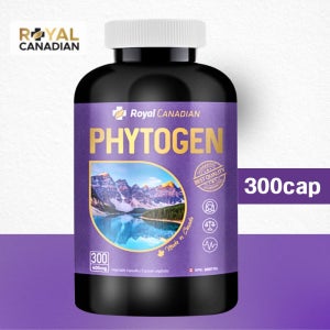 로얄캐네디언 파이토젠 400mg 300캡슐 대두이소플라본 갱년기여성 영양소 10개월분