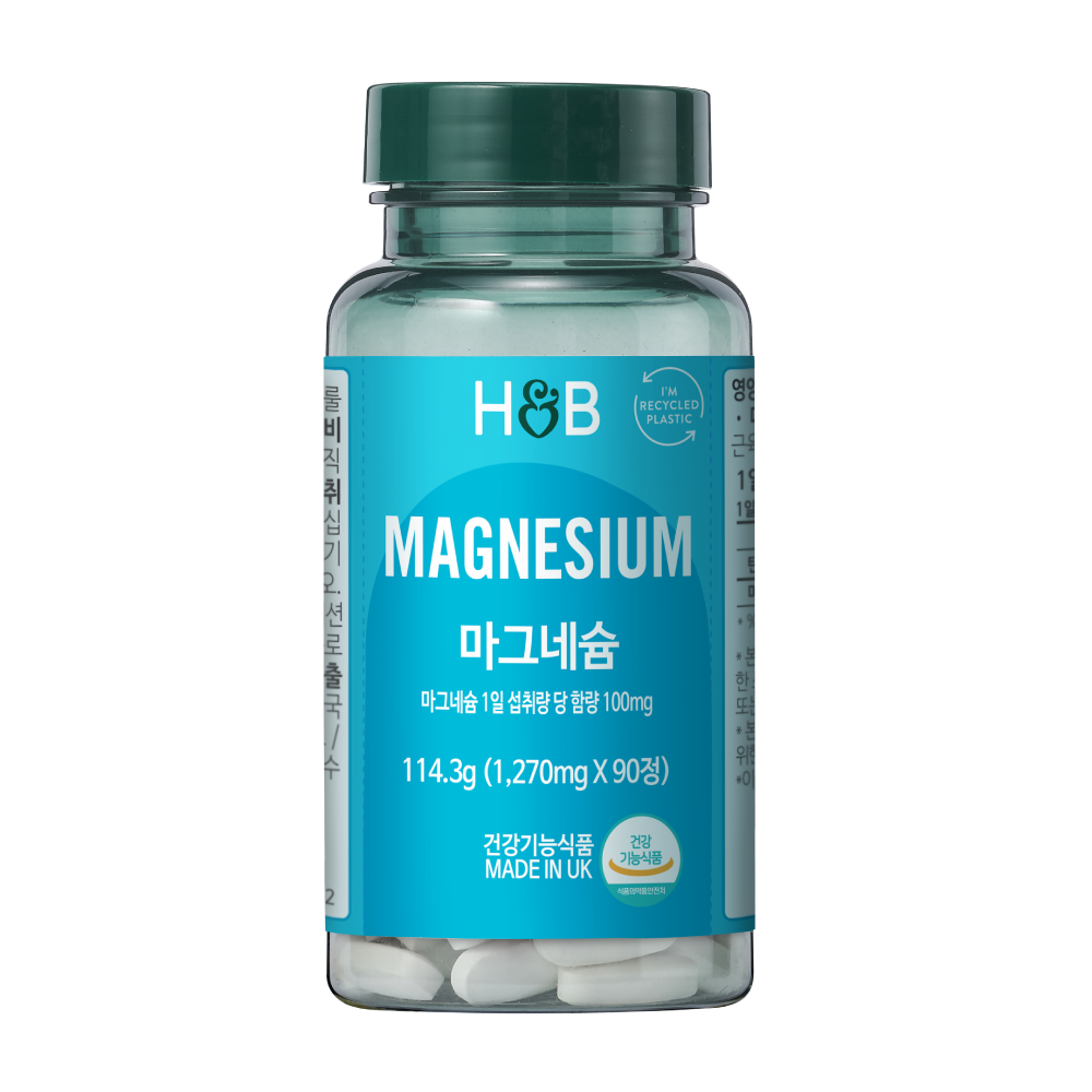 홀랜드앤바렛 마그네슘 100mg 90정, 1개
