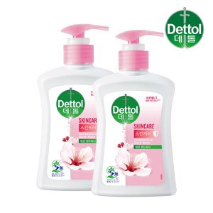 데톨 항균 핸드워시 스킨케어, 250ml, 2개