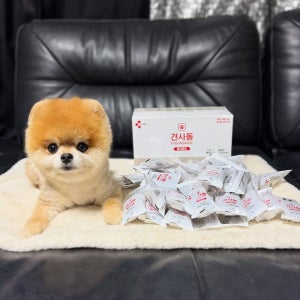 강아지 영양제 덴탈껌 황태맛 30p 2박스