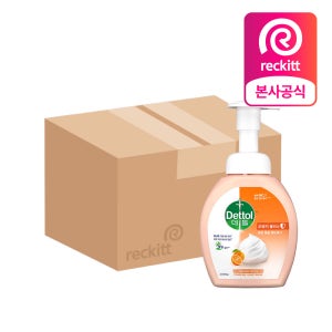 데톨 포밍 항균 핸드워시 오렌지블리스, 250ml, 12개