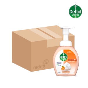 데톨 포밍 항균 핸드워시 오렌지블리스, 250ml, 12개