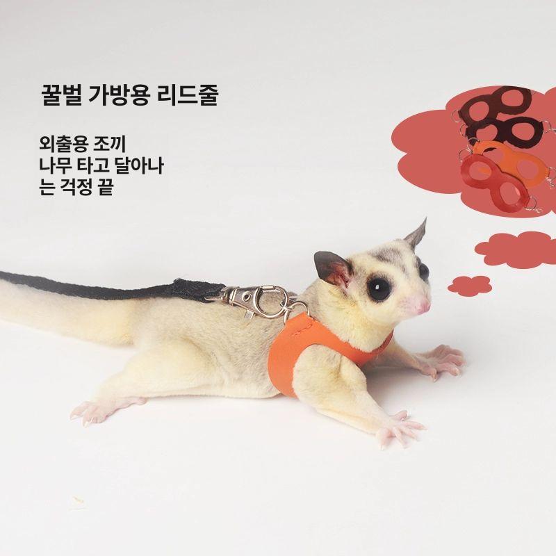 하네스 슈가 글라이더 목줄 끈 소형 리드줄 날 다람쥐 햄스터 산책 도보 안경 끌림줄 오렌지