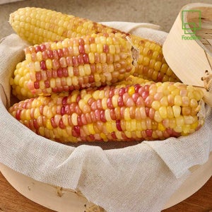 쫀득쫀득 찰기가 가득한 특대 홍찰옥수수 3.6kg, 15개