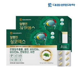 대웅생명과학 혈행엔 징코맥스 기억력 개선 혈행 개선 120정, 2개